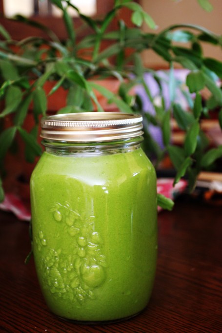 Have Smoothie Will Travel